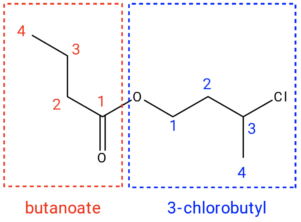 matrix education 2024 VCE Chemistry exam solutions question 21 - A chemical structure illustrating butanoate and 3-chlorobutyl functional groups
